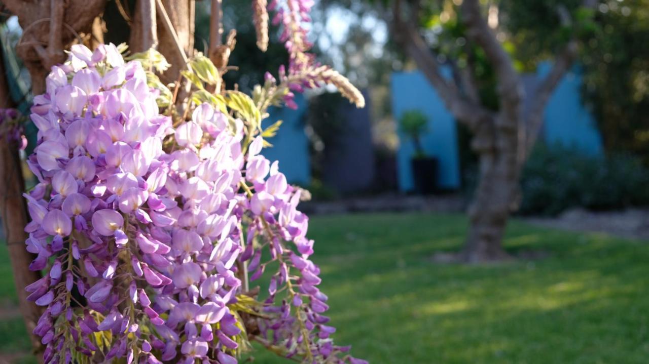 Loddon River Motel Kerang Luaran gambar